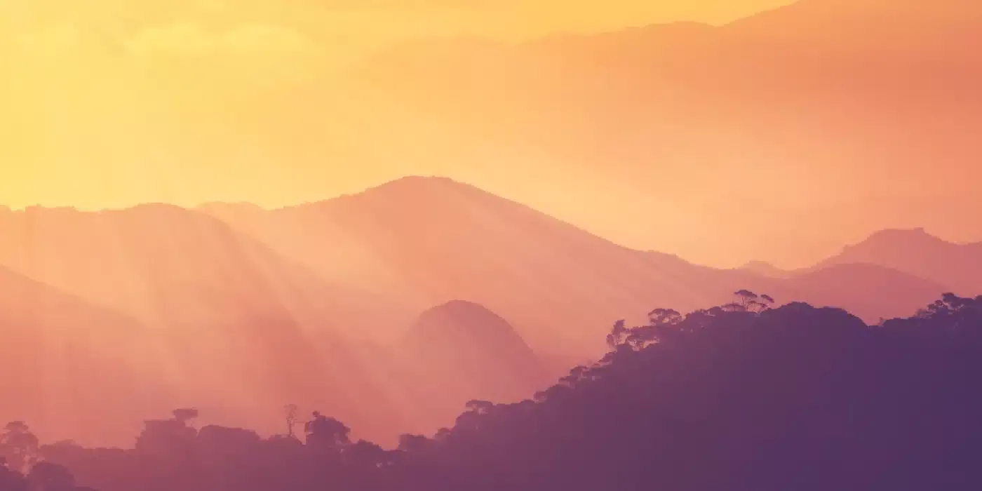 Professional therapy practice environment promoting healing and growth