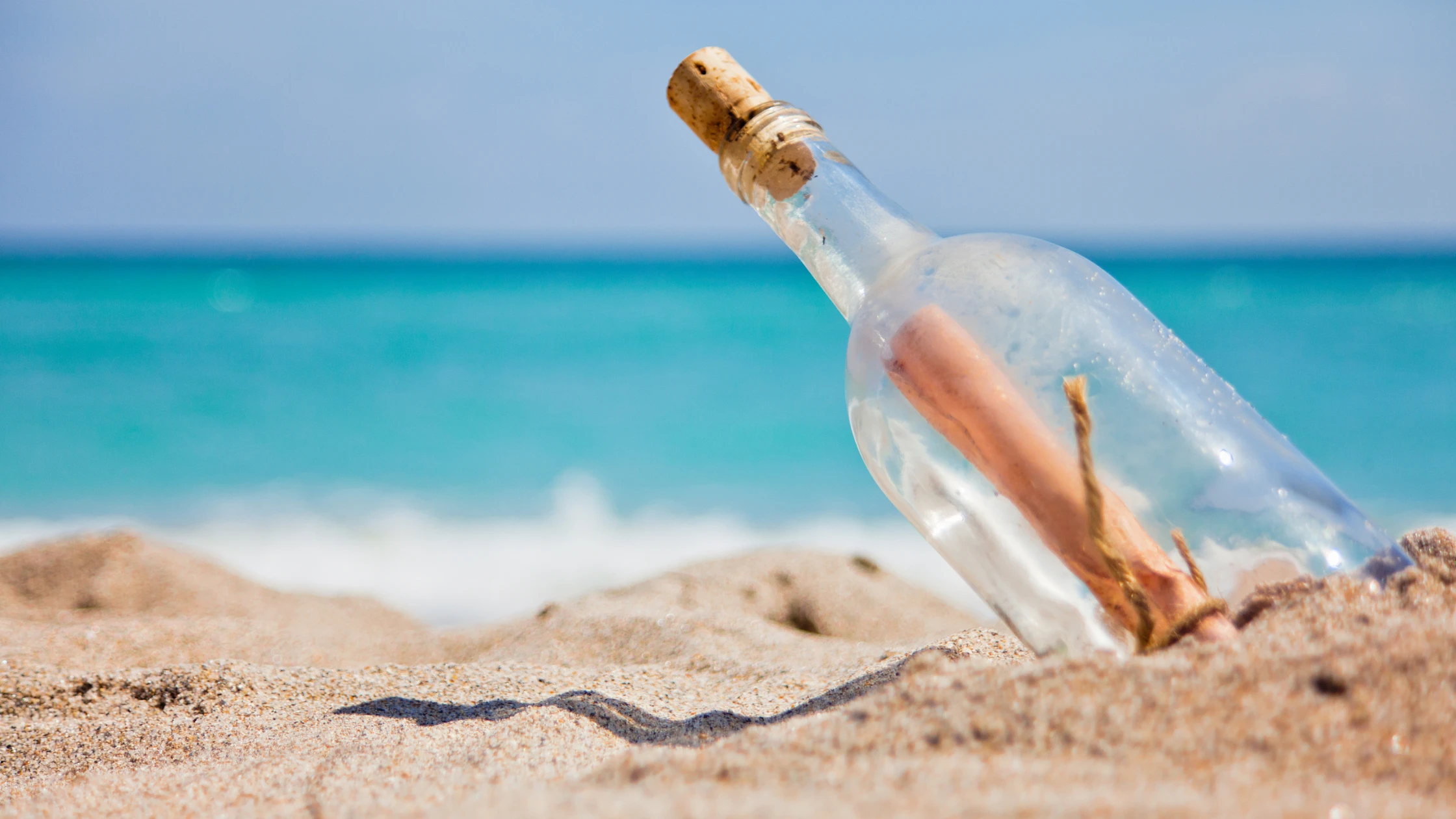 Professional therapy practice environment promoting healing and growth